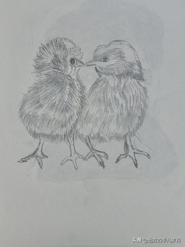 我的八月