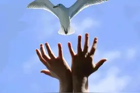 见效最快的福报：放生图片