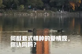 大富之家出情种，恋爱脑如何区分？图片
