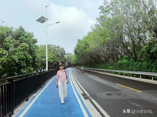 官洲生物岛鹅公村的早茶