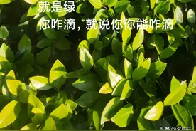 马云说过，股市大家都赚钱的时候，连跳广场舞的老大妈...图片