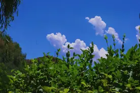 我的面瘫治愈经历图片