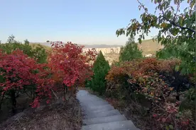 母亲做关节置换手术的住院经历（二）图片