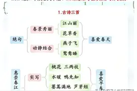 三年级语文下册1一 28课思维导图，附习作提纲图片