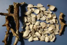 中药剂量浅谈：穿山龙，祛风除湿，舒筋通络，活血止痛，止咳平喘图片