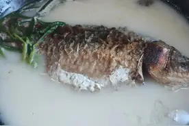 肾病水肿泡沫尿8年，中药＋鲫鱼汤，恢复了 高女士图片