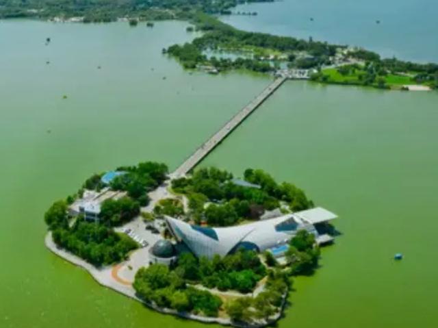 建议徐州云龙湖风景区水上世界景区开发“湖中步行藤蔓廊桥”设想