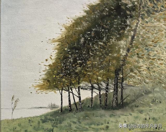 我的八月