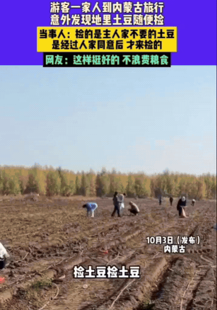 旅游时你遇到过哪些趣事