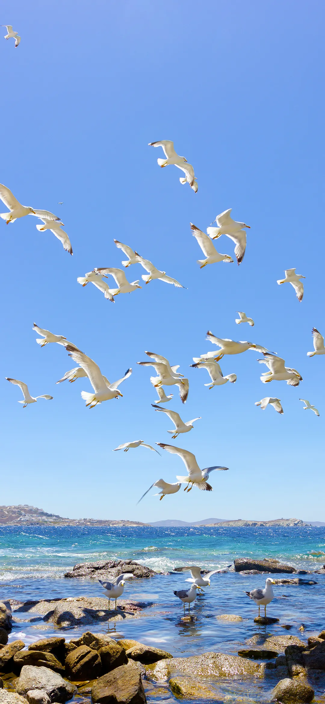 手机壁纸|山水大自然风景美图