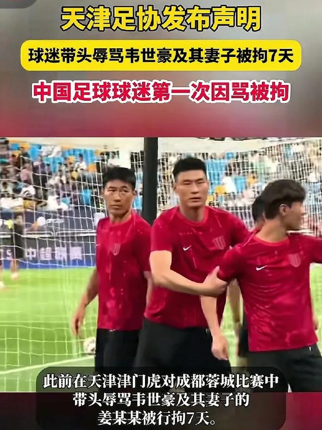 你如何看待球迷辱骂韦世豪及其家属