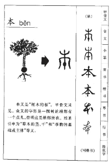 文言文120个实词最详整理（1~20）