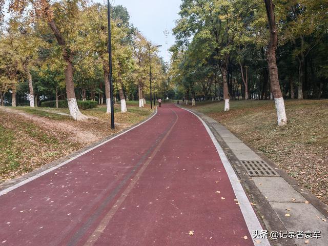 凤栖绿道，湖畔闲游——成都金牛区凤凰山公园游记