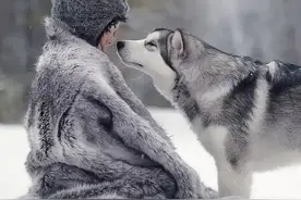 人类与动物的区别：生理结构和生存方式图片