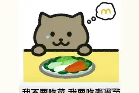 “肥猫”事件，告诉我们，不懂人性，付出再多图片