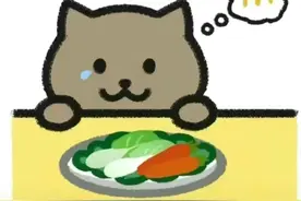 “肥猫”事件，告诉我们，不懂人性，付出再多图片