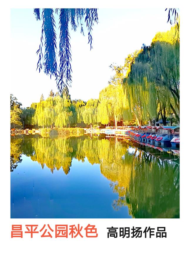 11月下旬就别去张北了。