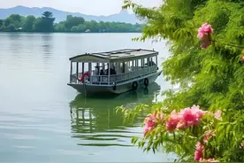 头条写文章限流太厉害了， 关注图片