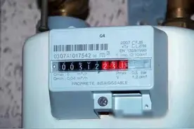 重庆燃气公司抄表员事件引发热议图片