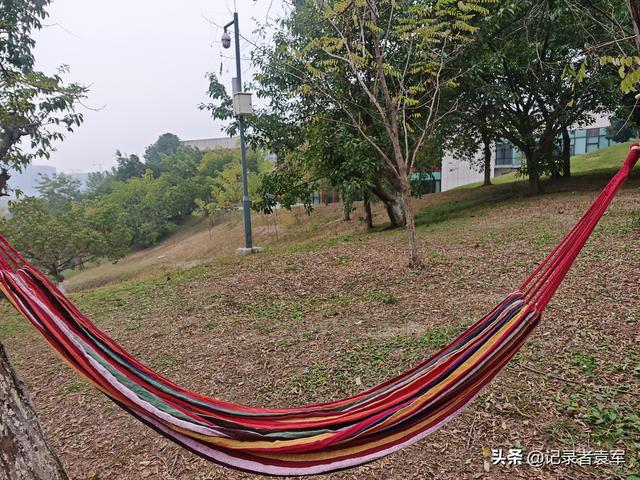 凤栖绿道，湖畔闲游——成都金牛区凤凰山公园游记