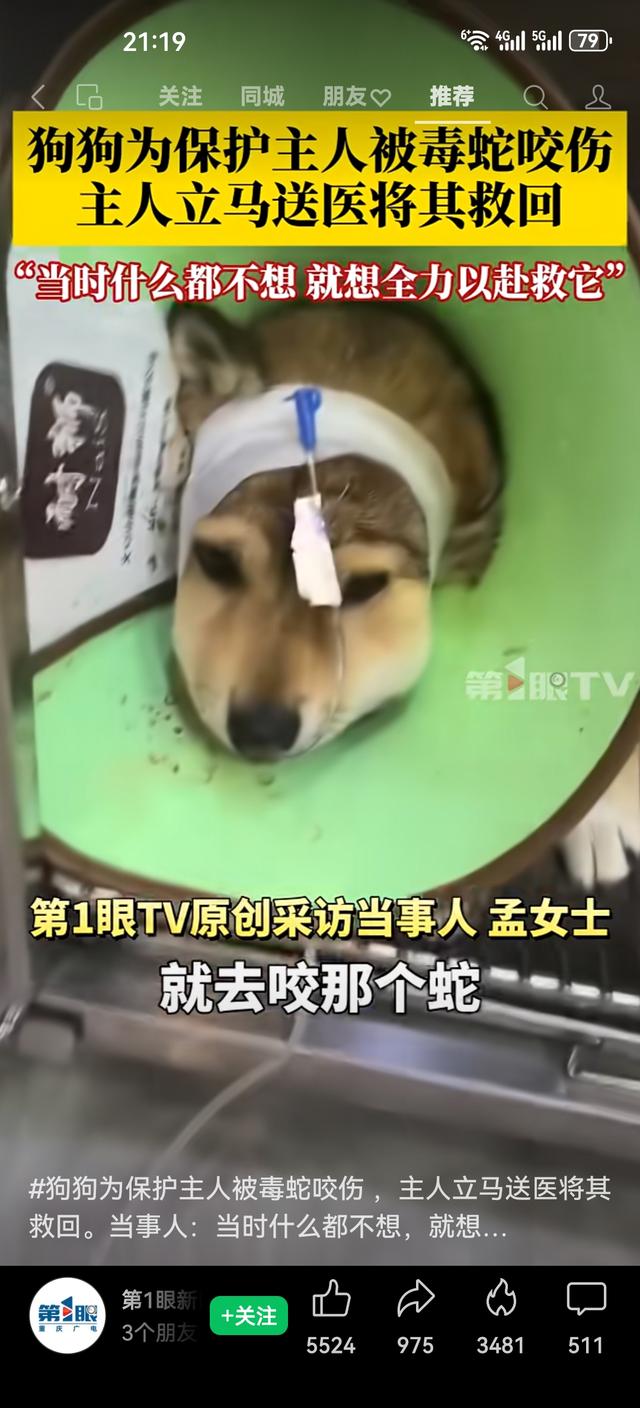 你会为救宠物拼尽全力吗