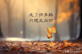 断联以后你们是怎么熬过来的图片
