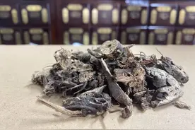 一毛不拔的老郎中，说：牙齿松动+牙龈萎缩，就是胃里...图片