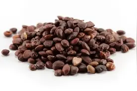 张仲景的“安魂方”！化解焦虑、疑心重、总怀疑自己有病，请品味图片