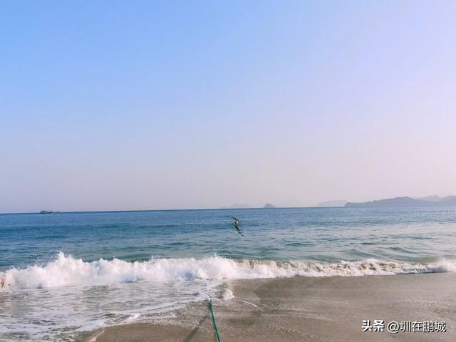 景区人多热闹和人少清净选哪个