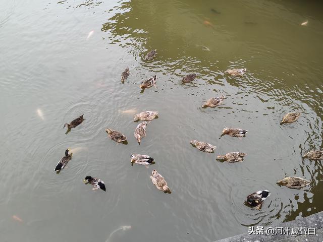 云冈石窟
