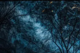 第一章：迷雾之夜 深夜，月色朦胧图片