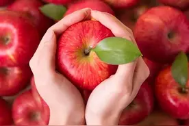 苹果的魅力，营养丰富的完美果实图片