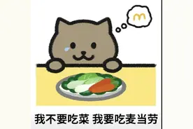 21岁男生转账52万，“胖猫”之死背后真相图片