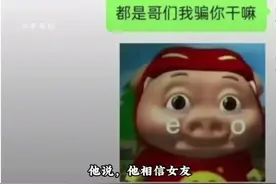 胖猫 在四月十一日凌晨图片