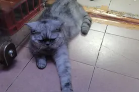 刚刚终于下决心把拼多多APP卸载了，至于这份决心能...图片