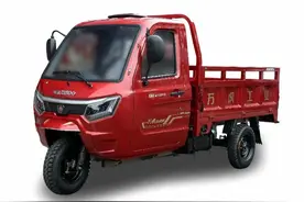 国内三轮电动车十大品牌！你用过哪一款？图片