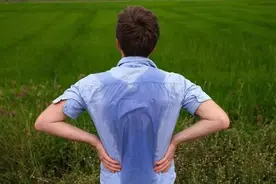 稍微一动就出汗？仅需4味药，守住气血图片