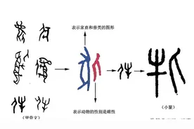 解密“牝”字：从雌牛到阴阳哲学的奇妙旅程 “牝”字图片