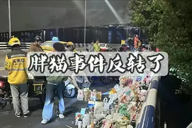 从胖猫事件中看流量吃人猛如虎图片