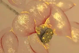 假如你是一名永生者，你怎么做才能避免自己的身份？ ...图片