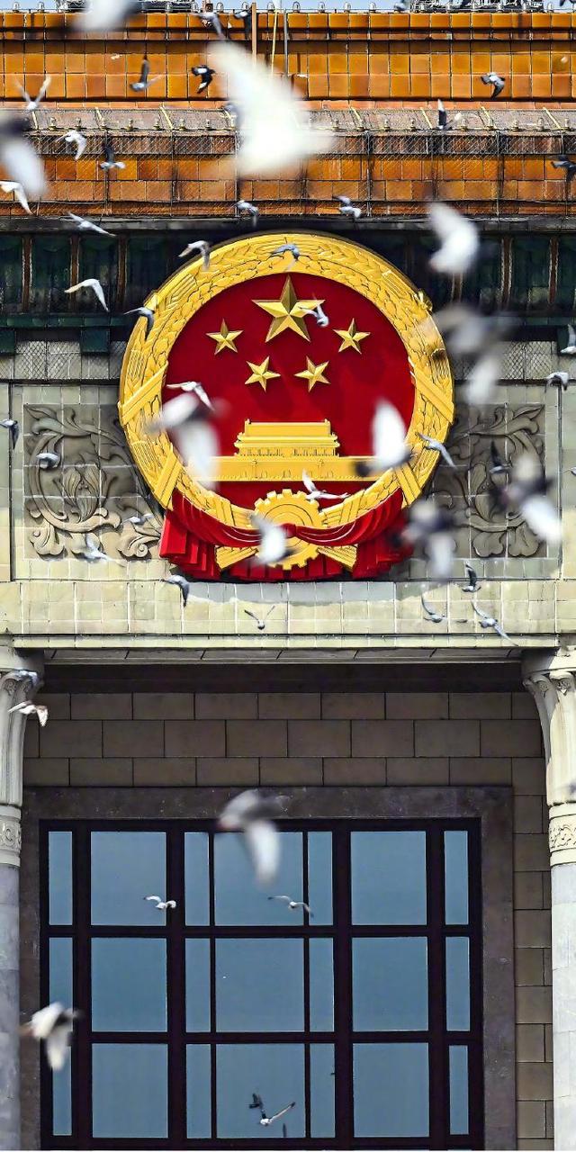 和平鸽与国徽同框壁纸