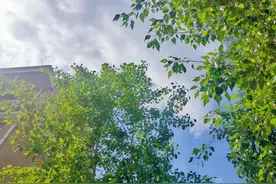 骨折后第109天（手术后整整100天图片