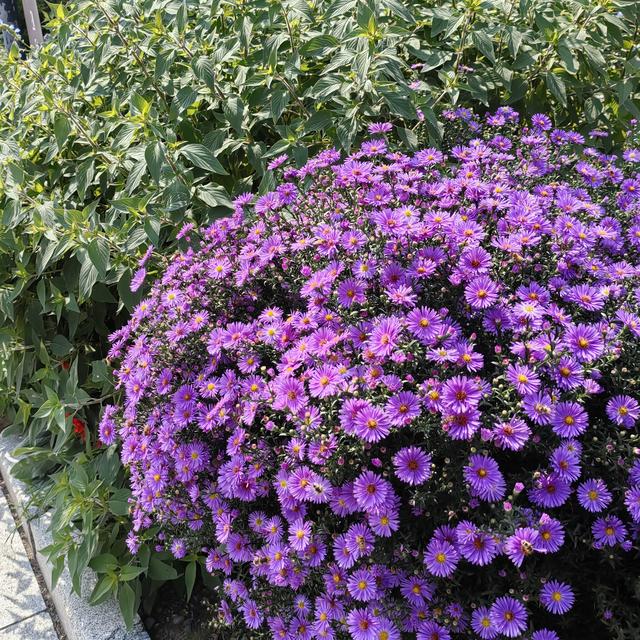 闲话北京的山地徒步<一>