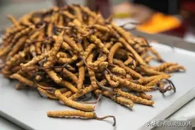 容易造假和冒充的中药材大揭秘！你中招了吗？图片