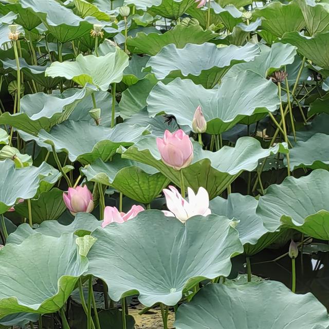 闲话北京的山地徒步<一>