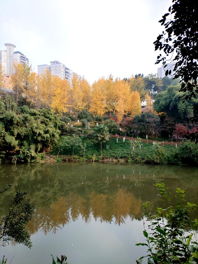 盘溪河的冬，藏着山城最温柔的秋意