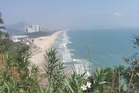 四十多天的海陵岛旅居生活结束了！住过一段时间才知道的事图片