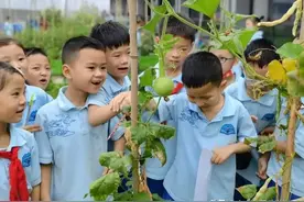 那个小学奥数到底有没得必要学，我想统一给大家说一下图片