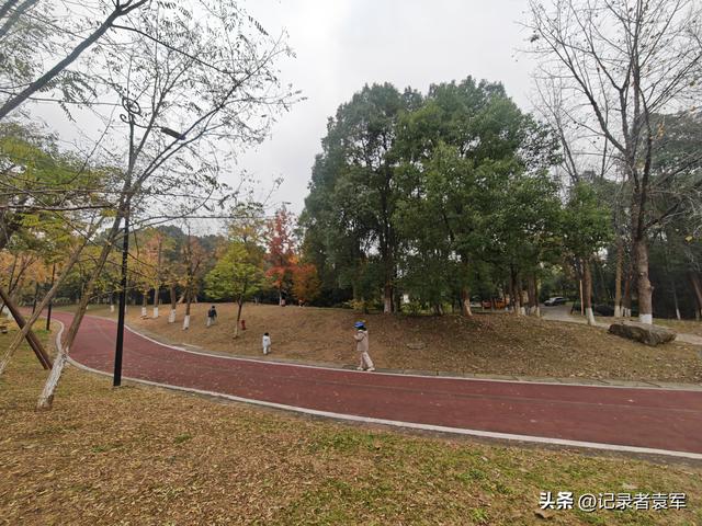 凤栖绿道，湖畔闲游——成都金牛区凤凰山公园游记