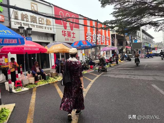 广州大学城小谷围岛